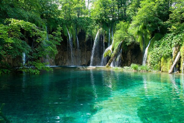 Hermosa vista del estanque con cascada