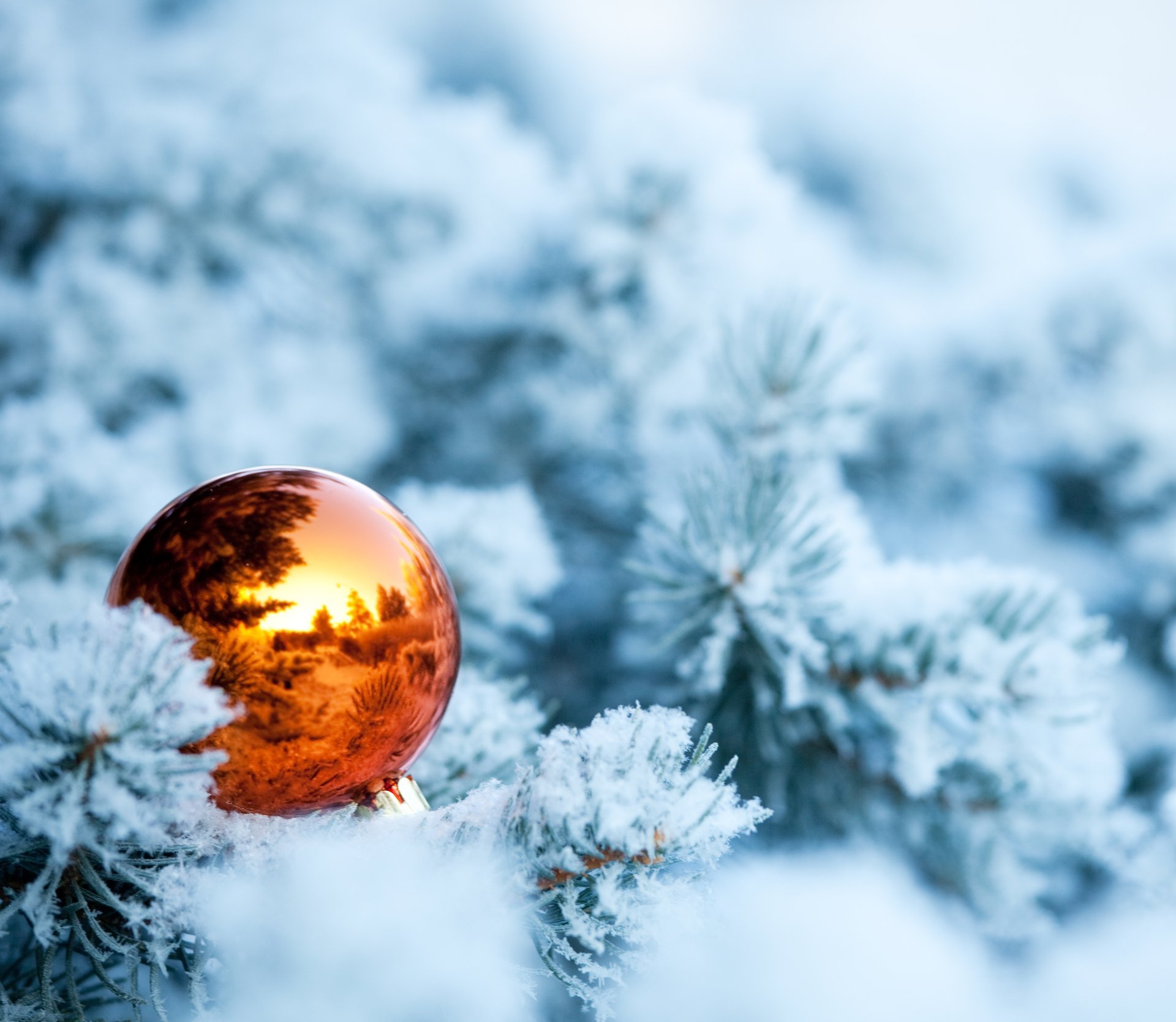 invierno abeto ramas juguete del árbol de navidad nieve bola árbol de navidad