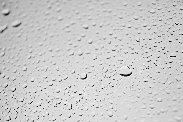 Gotas de agua sobre un fondo gris claro
