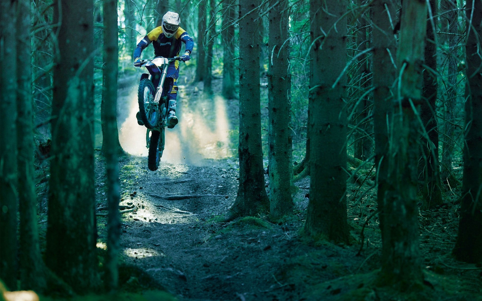 bicicleta salto bosque
