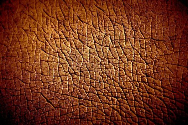 Material marrón similar a la piel de hipopótamo
