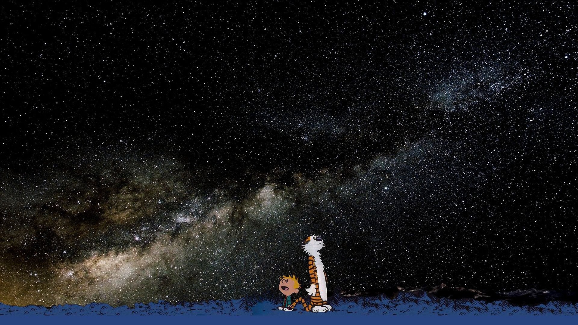 calvin y hobbes calvin y hobbes hobbes niño estrellas tigre