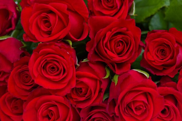 Jugoso ramo de rosas rojas