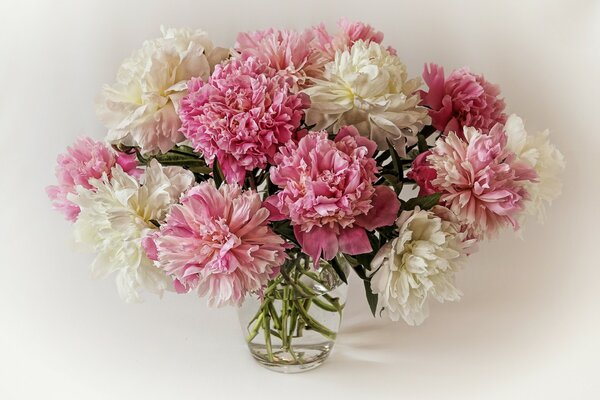 Ramo de peonías Rosadas y blancas en un jarrón