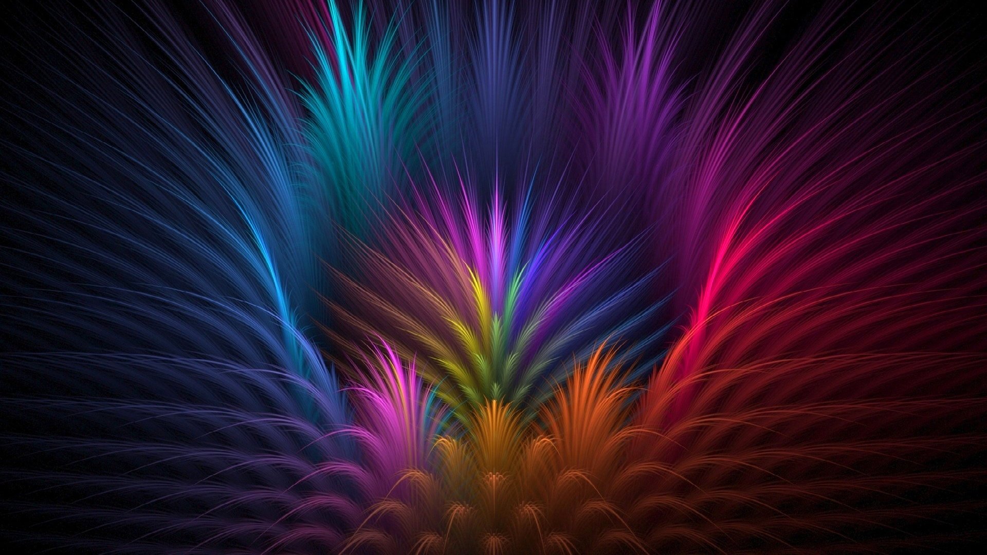 color luz rayos pétalos líneas plumas volumen flor