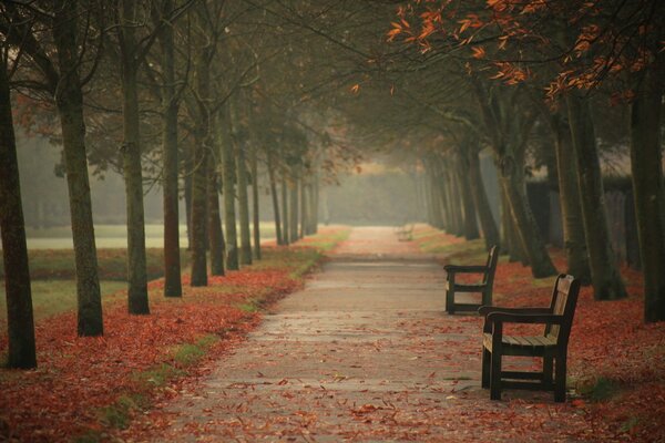 Parque urbano de otoño con bancos