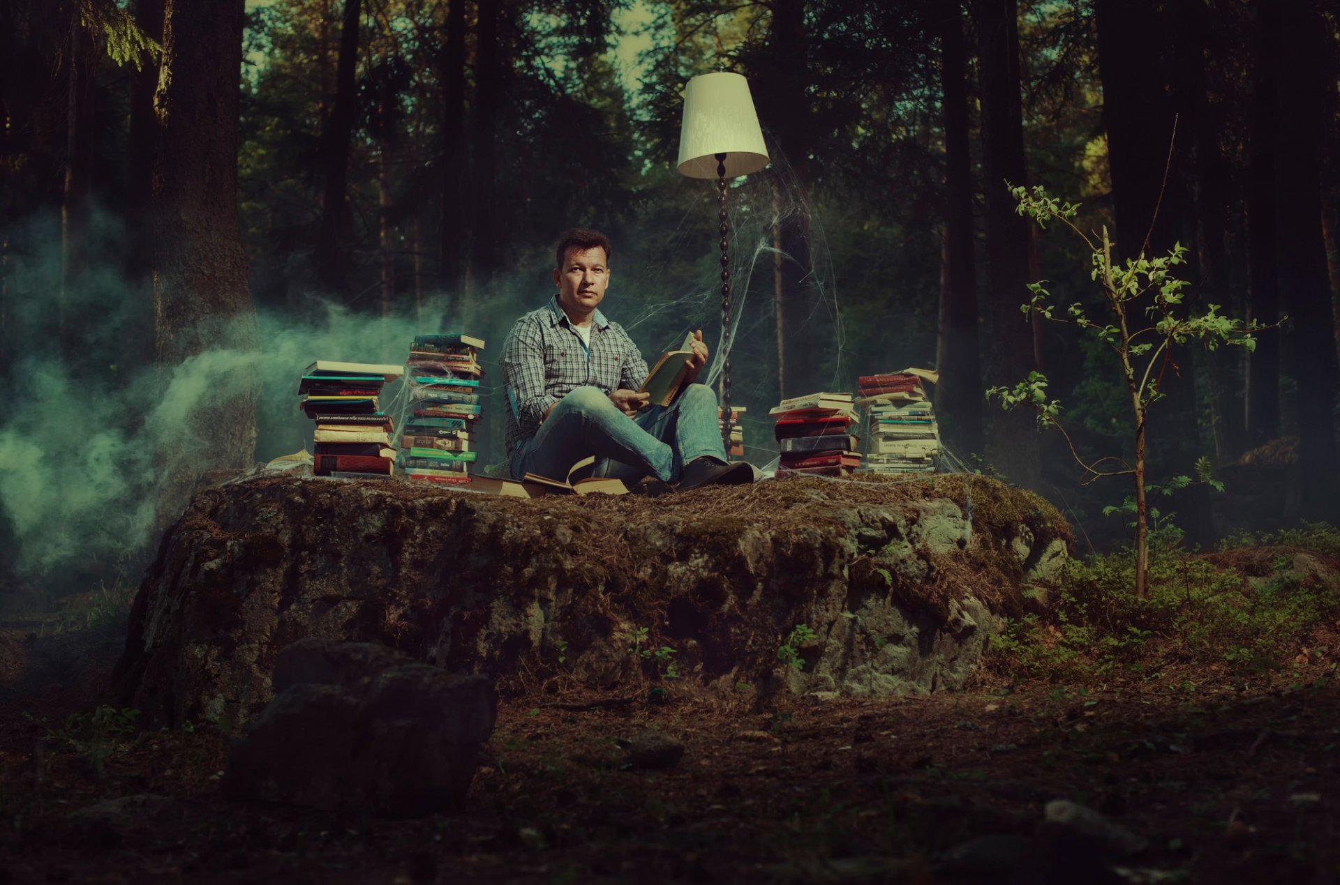 libros lámpara telaraña bosque amante de los libros lectura