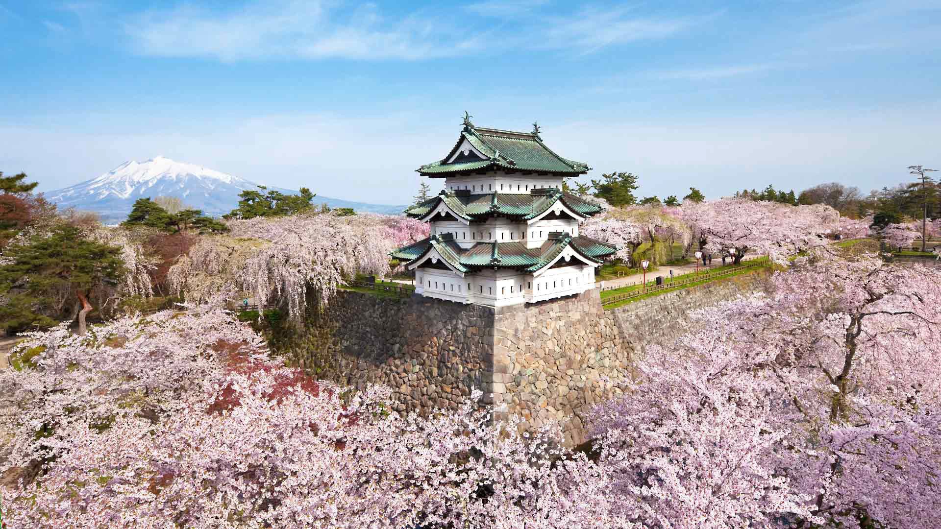primavera japón floración