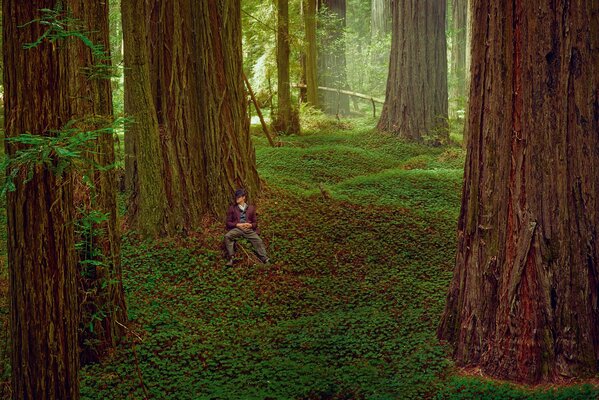 Fascinante sesión de fotos profunda de Brad Pitt