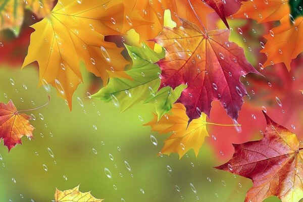 Pinturas de otoño-amarillo, rojo, verde