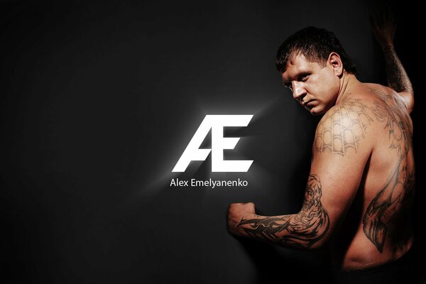 Alexander Emelianenko en artes marciales mixtas