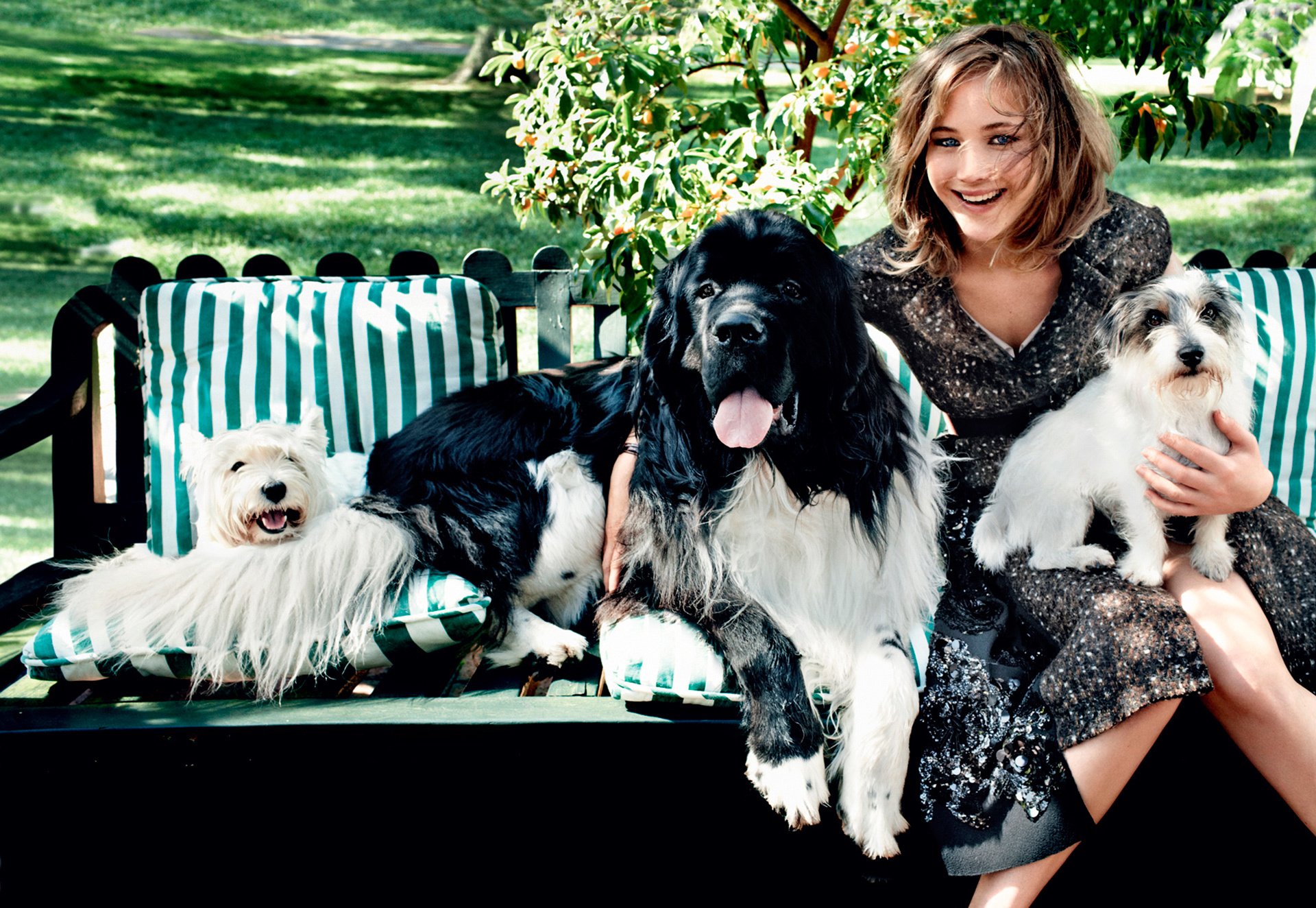 jennifer lawrence perrito risa moda
