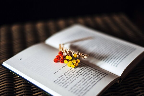 Flores y espiga en la página abierta del libro