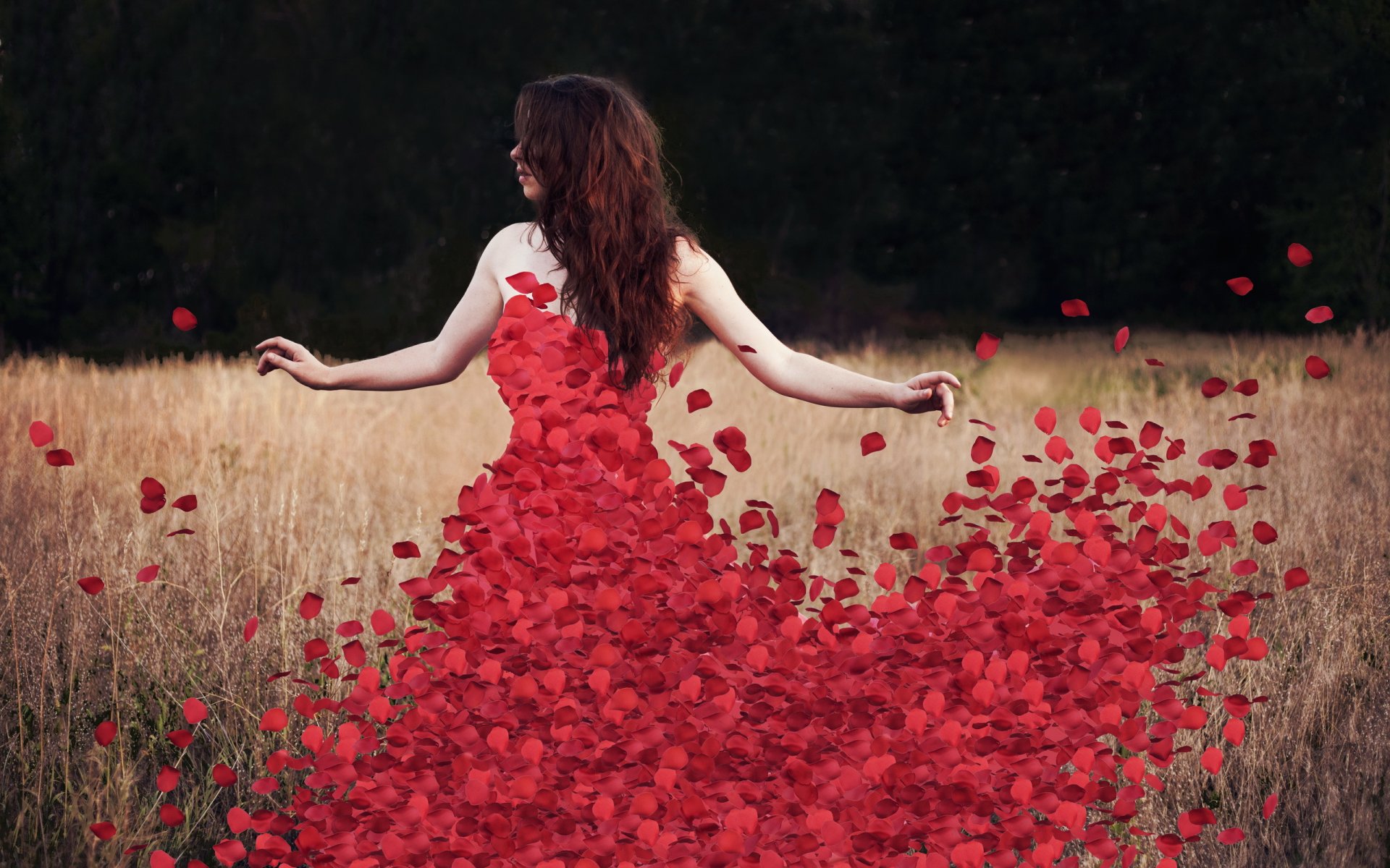 flores rosedress pétalos