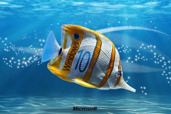 Océano, peces. Fondos de pantalla en Windu 10