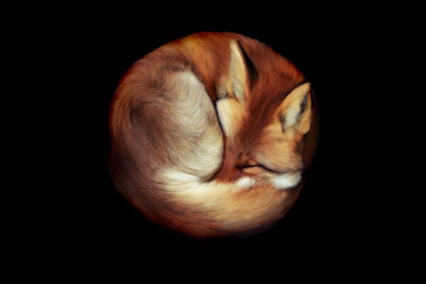 Pelirroja Vixen acurrucado en una maraña