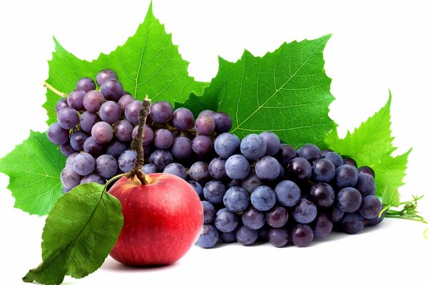 Un racimo de uvas y una manzana en un fondo de follaje de uva