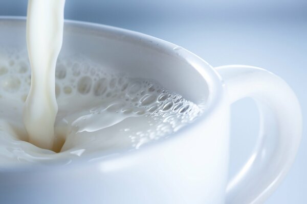 Taza de leche sobre fondo blanco