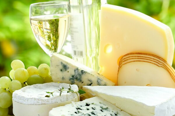 Diferentes quesos y vino en copas de vino molde de queso blanco