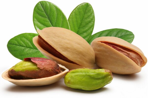 Pistachos verdes en nueces de kscorlup