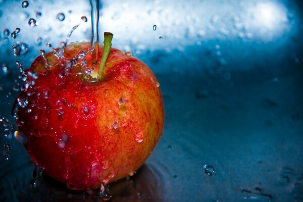 Cómo se ven las manzanas en la mañana