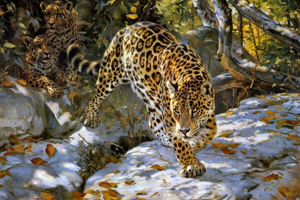 Jaguar se prepara para saltar en otoño