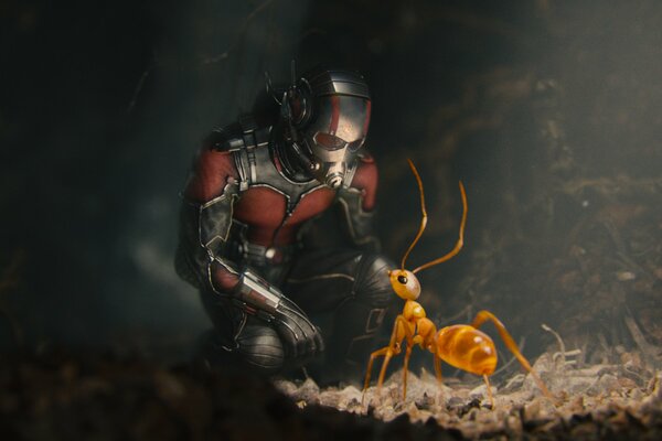 El superhéroe de Marvel se agacha ante una hormiga