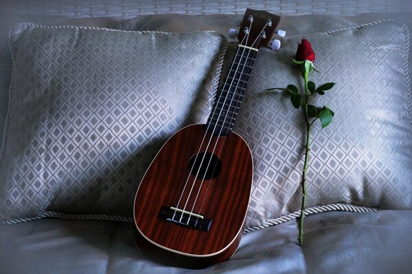 En la almohada hay un ukelele y una rosa