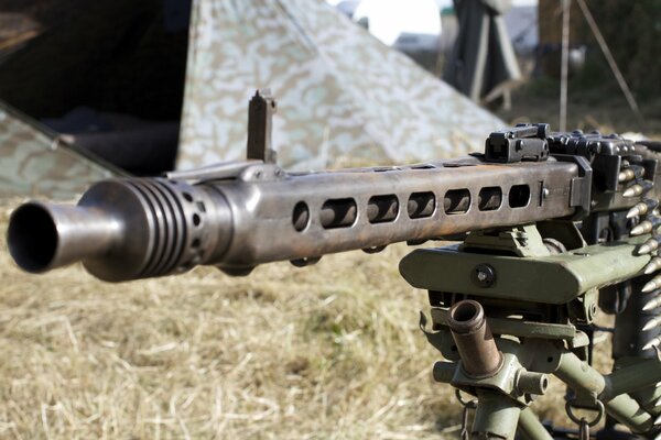 Armas de la gran guerra patria