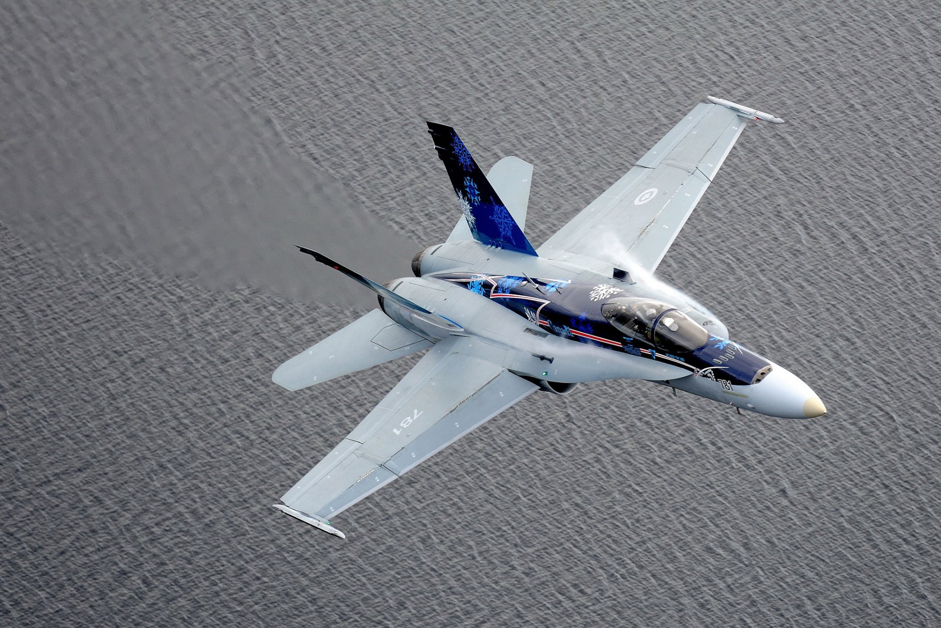 cf-18 avispón caza interceptor