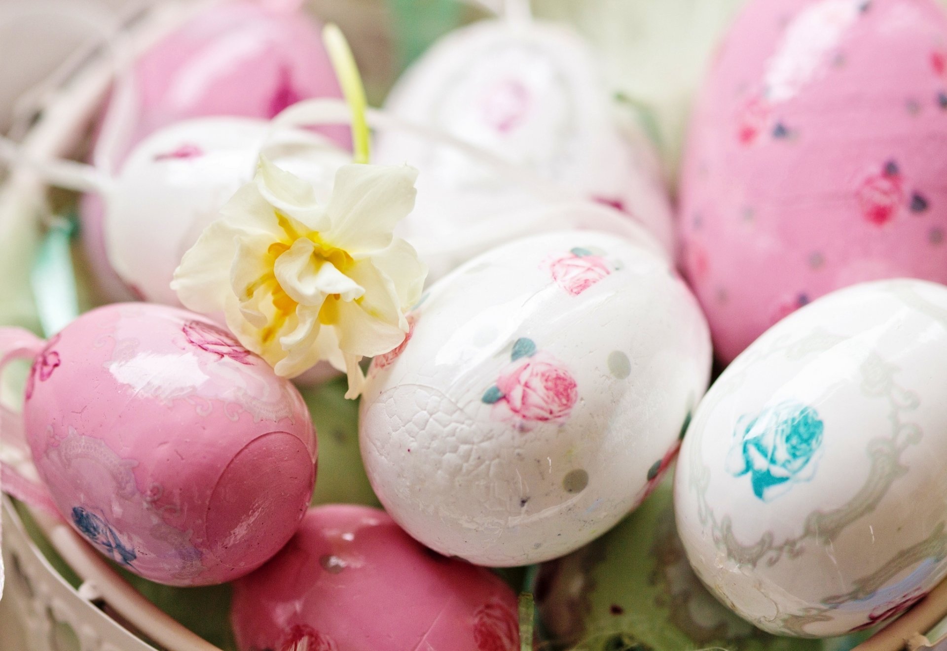 pascua vacaciones primavera huevos pascua rosa verde pintado flor blanco