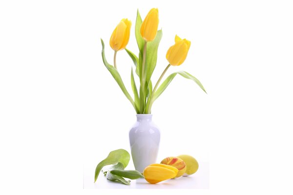 Los tulipanes amarillos más delicados en un jarrón blanco