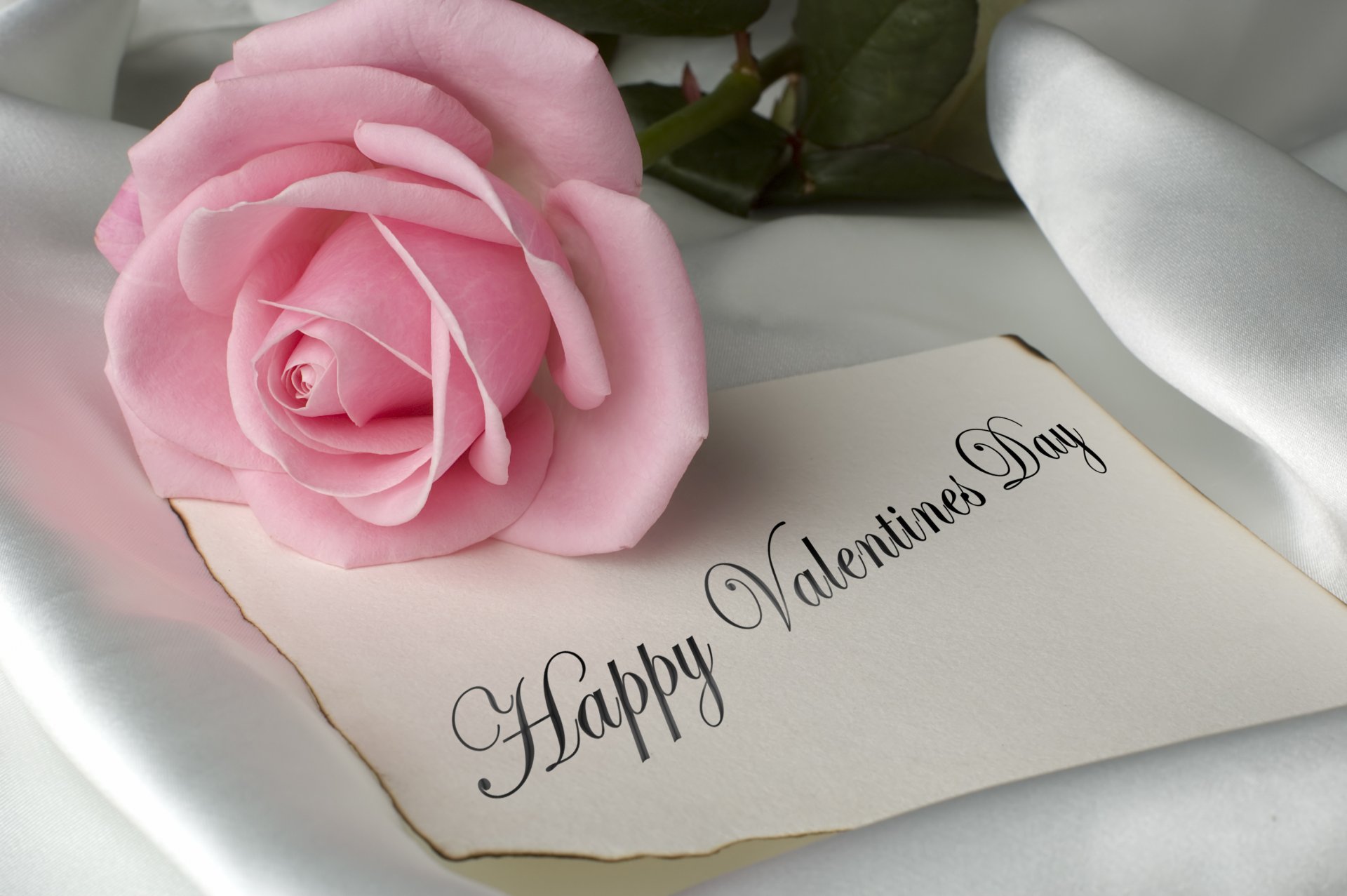 flores feliz día de san valentín rosa rosas rosadas bonito novelas románticas romántico rosa día de san valentín con amor rosa rosa romance rosa