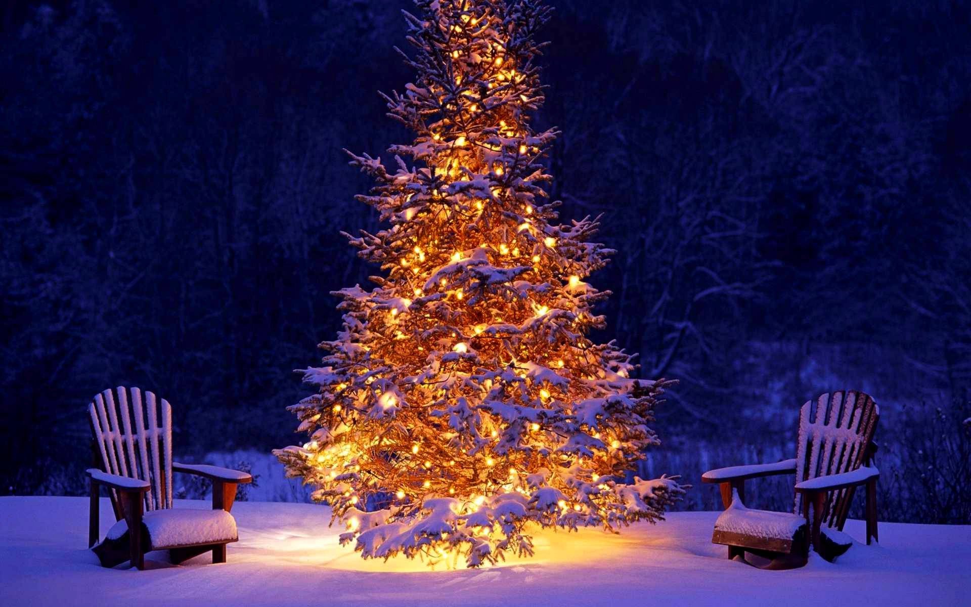 invierno vacaciones nieve bosque árbol de navidad linternas feliz año nuevo navidad invierno árbol de navidad luces año nuevo vacaciones
