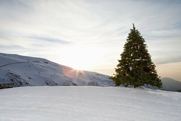 Montañas de invierno y árbol de Navidad decorado