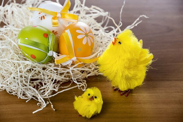 Pollos en Pascua con huevos