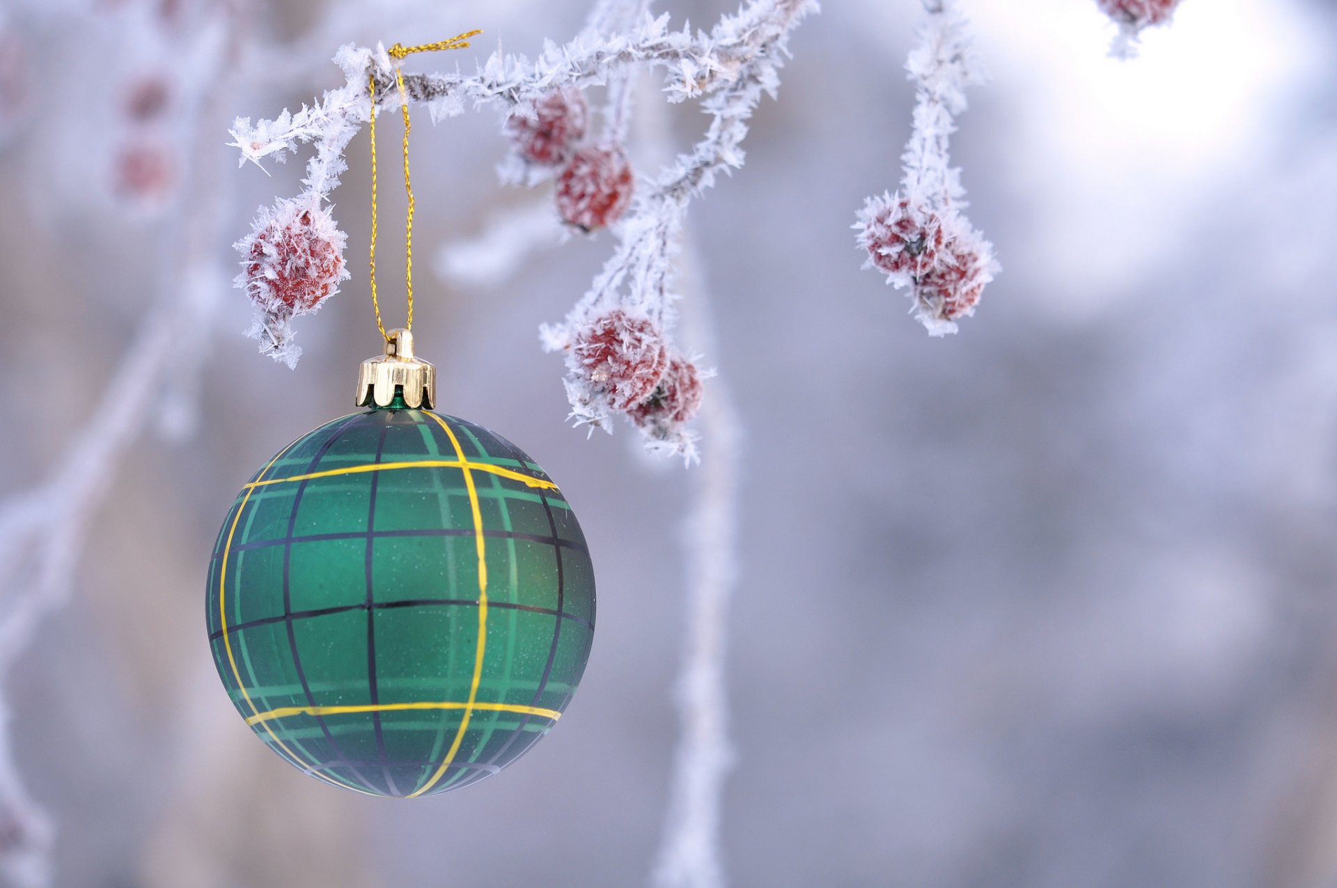 rama fruta escarcha bola juguete decoración navidad año nuevo