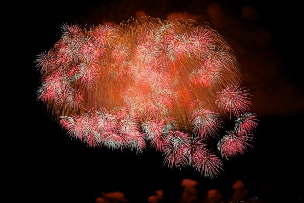 Fuegos artificiales coloridos sobre fondo negro