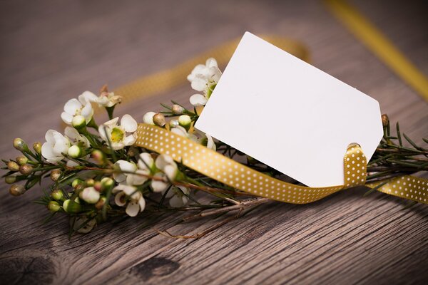 Regalo de Pascua. Flores blancas