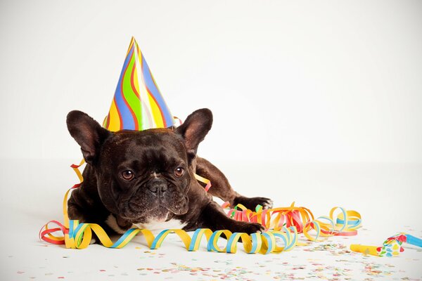 Feliz cumpleaños amigo sonríe