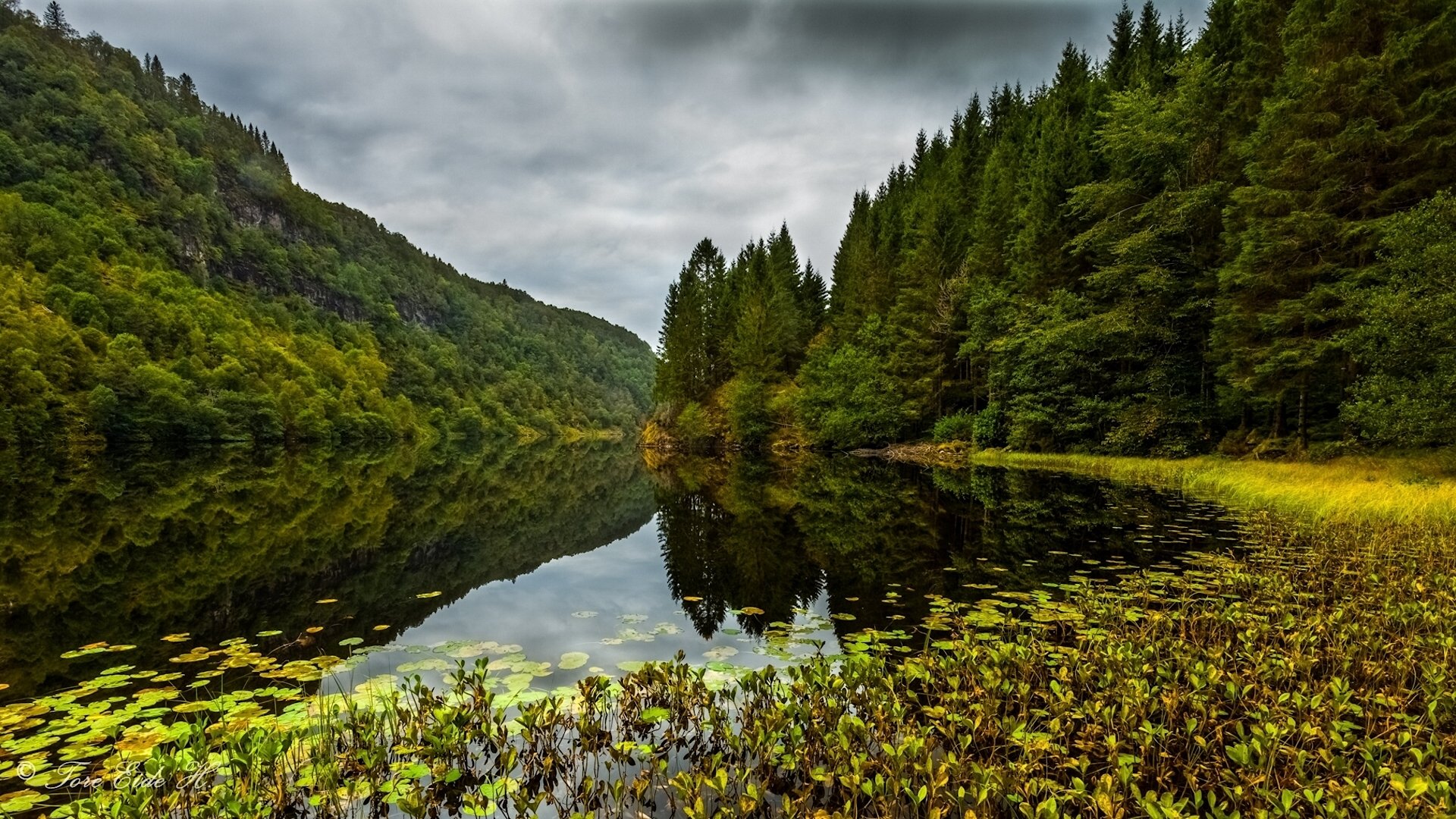 kossdalen valle osterøy noruega osterøy lago bosque