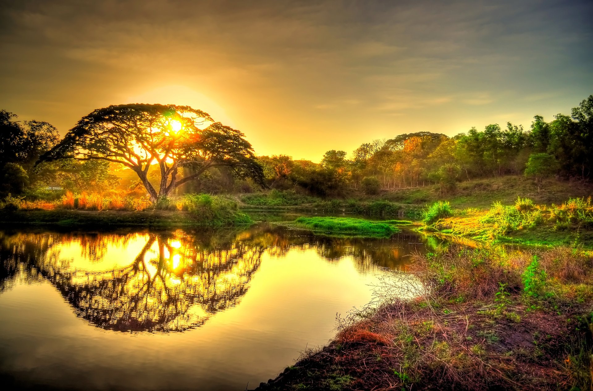 cielo puesta de sol sol árbol bosque estanque reflexión