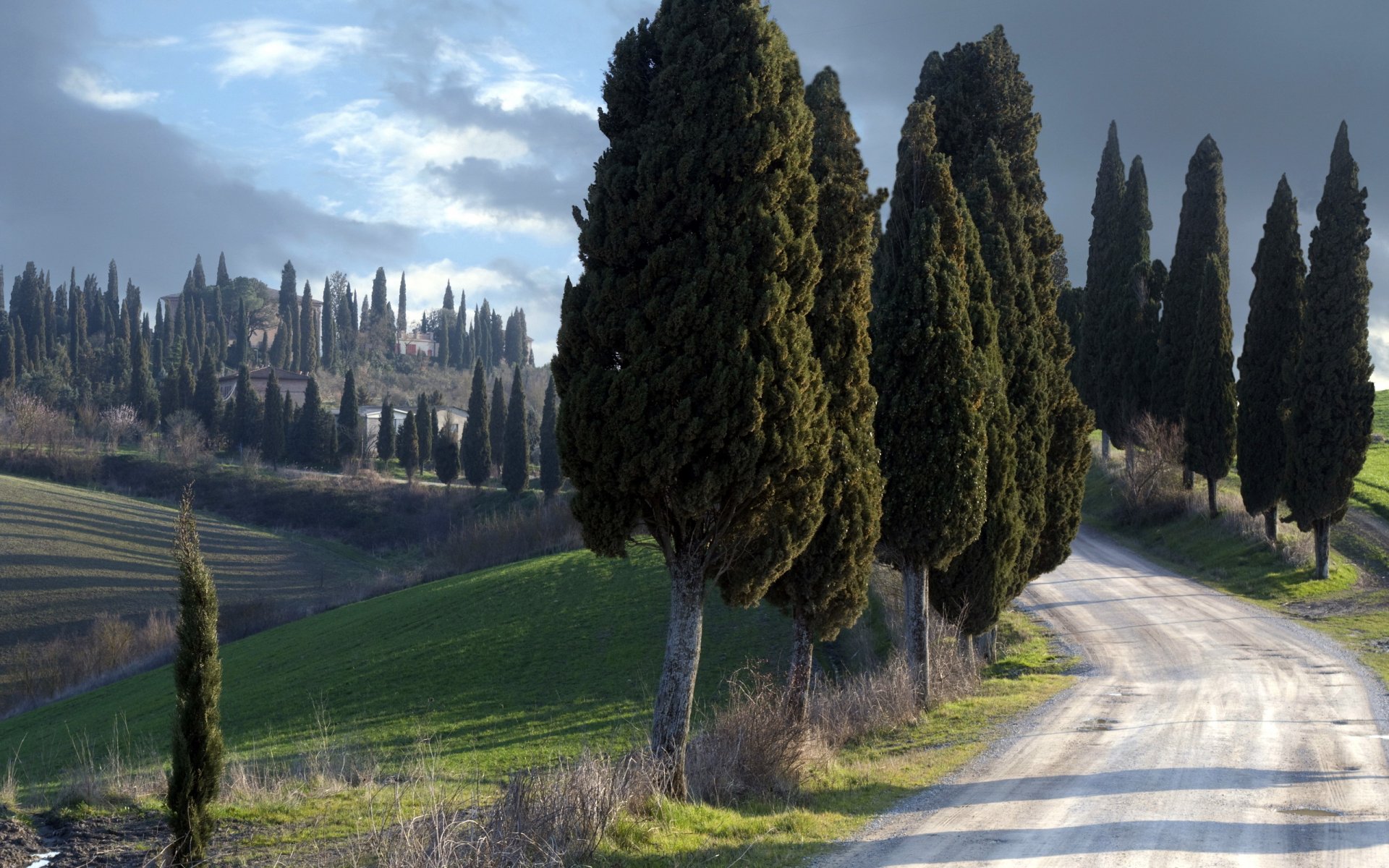 guardianes tranquilos toscana italia paisaje