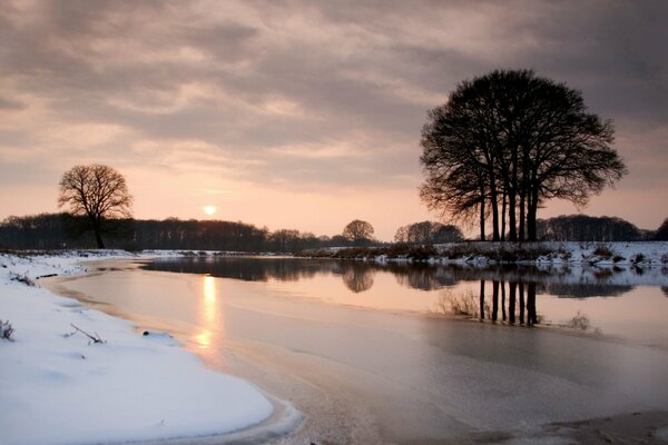 Atardecer en los árboles junto al río. Hielo de invierno en la nieve