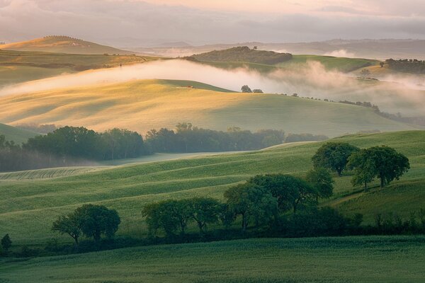 Campos en Italia por la mañana con niebla