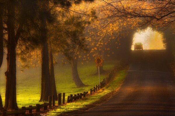 Fondo de pantalla del paisaje de la mañana brumosa