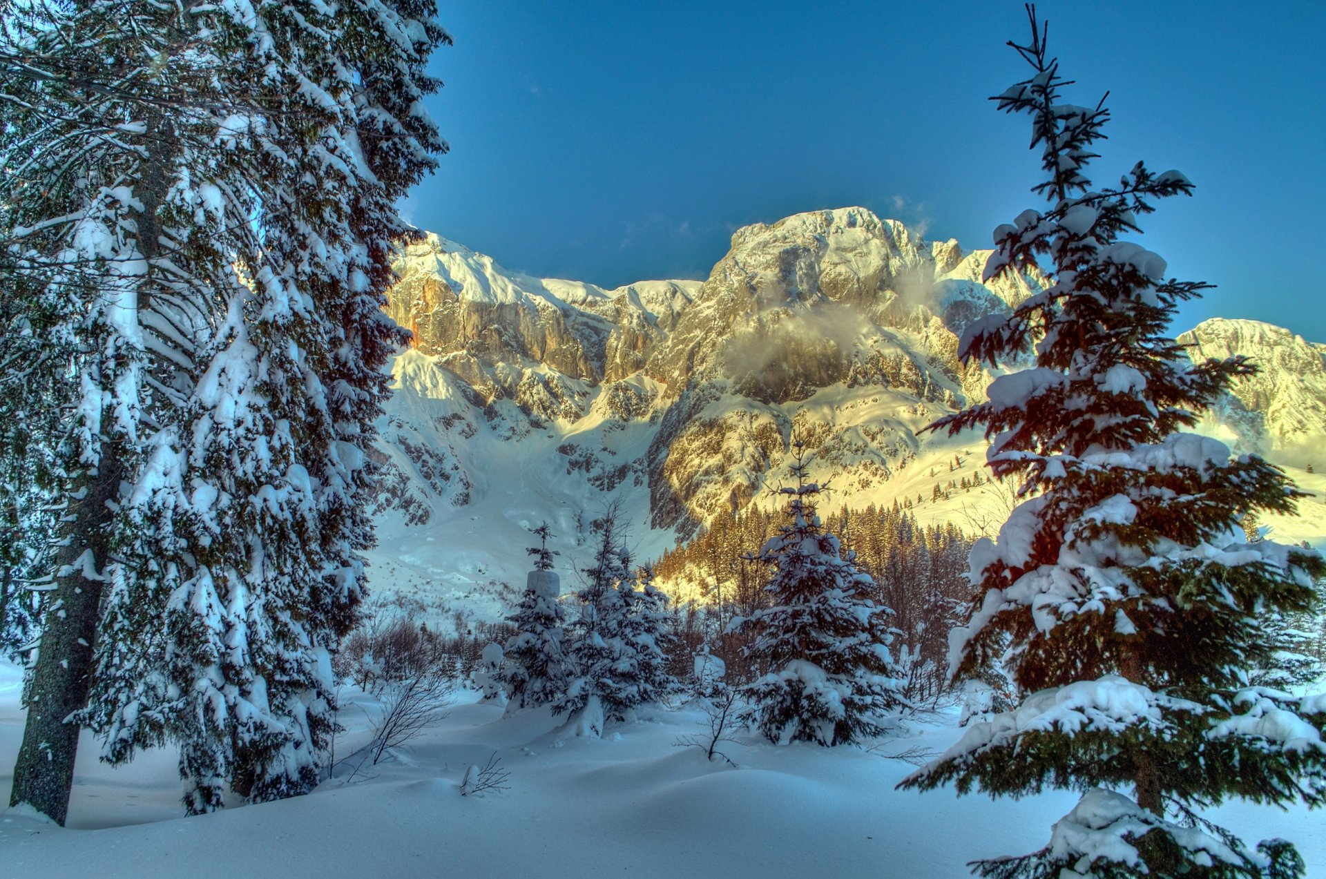 invierno montañas austria nieve árboles abeto alpes naturaleza