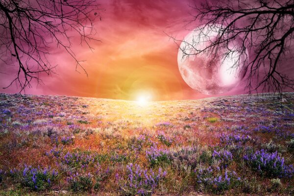 Brillo de los colores de una puesta de sol fabulosa