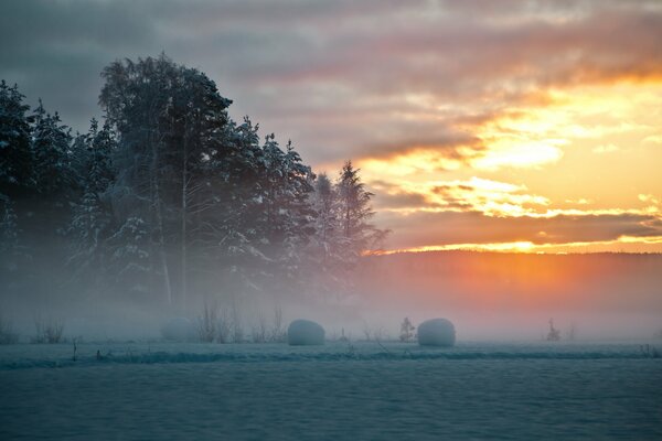 Hermoso invierno del Norte en Suecia