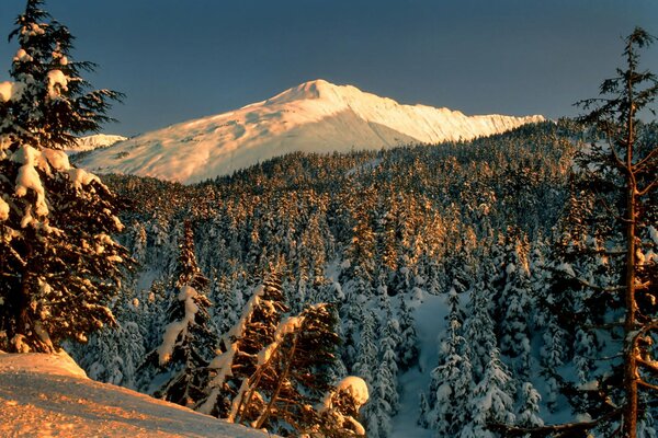 Paisaje de invierno con vistas al bosque y la montaña